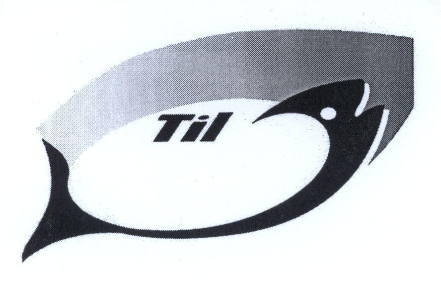 Mẫu nhãn hiệu Til