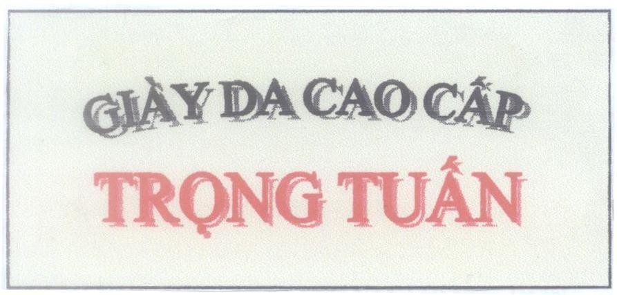 Mẫu nhãn hiệu Giày Da Cao Cấp Trọng Tuấn