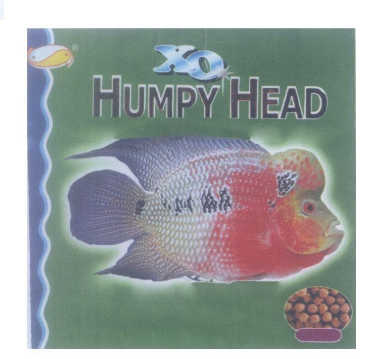 Mẫu nhãn hiệu XO HUMPY HEAD