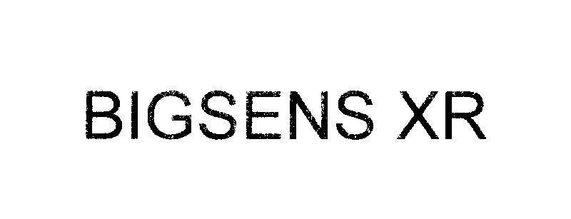 Mẫu nhãn hiệu BIGSENS XR