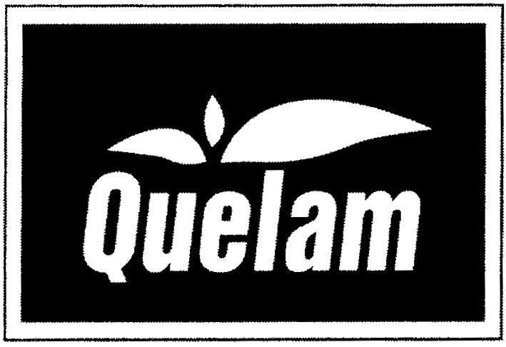 Mẫu nhãn hiệu Quelam