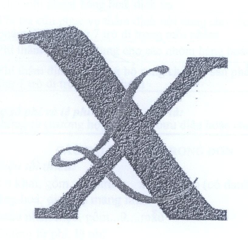 Mẫu nhãn hiệu X L LX LX