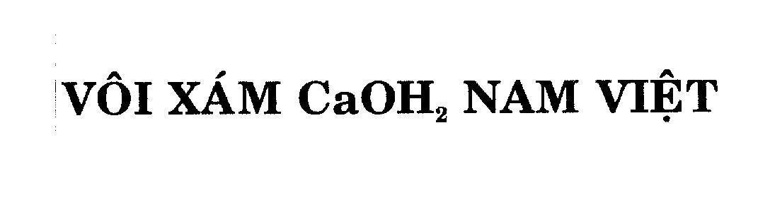 Mẫu nhãn hiệu Vôi Xám CaOH2 Nam Việt