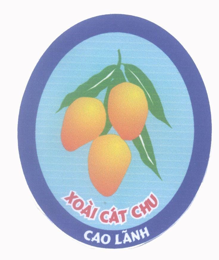 Mẫu nhãn hiệu Xoài Cát Chu Cao Lãnh