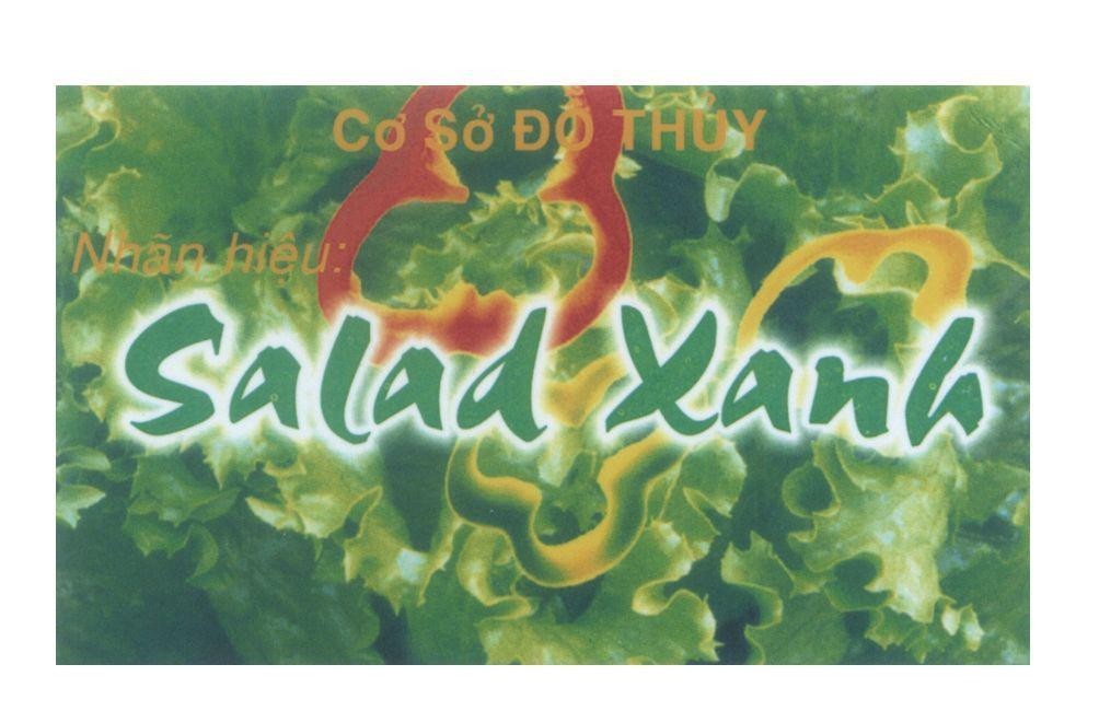 Mẫu nhãn hiệu Cơ Sở Đỗ Thuỷ Nhãn Hiệu Salad Xanh