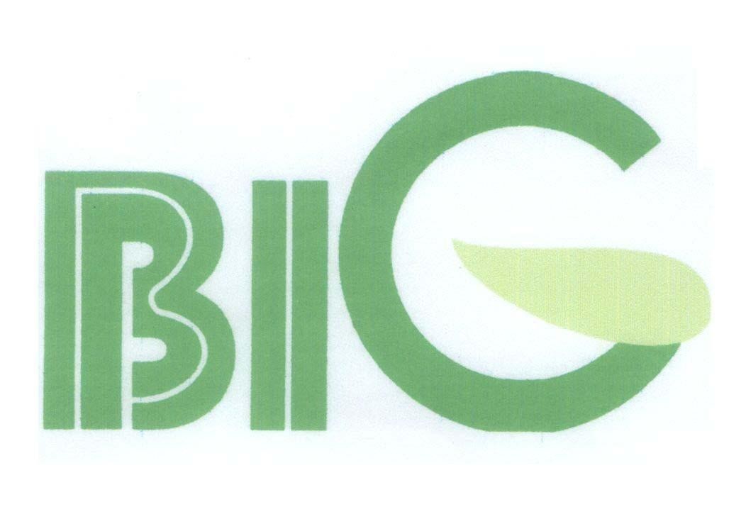 Mẫu nhãn hiệu BIG BIC