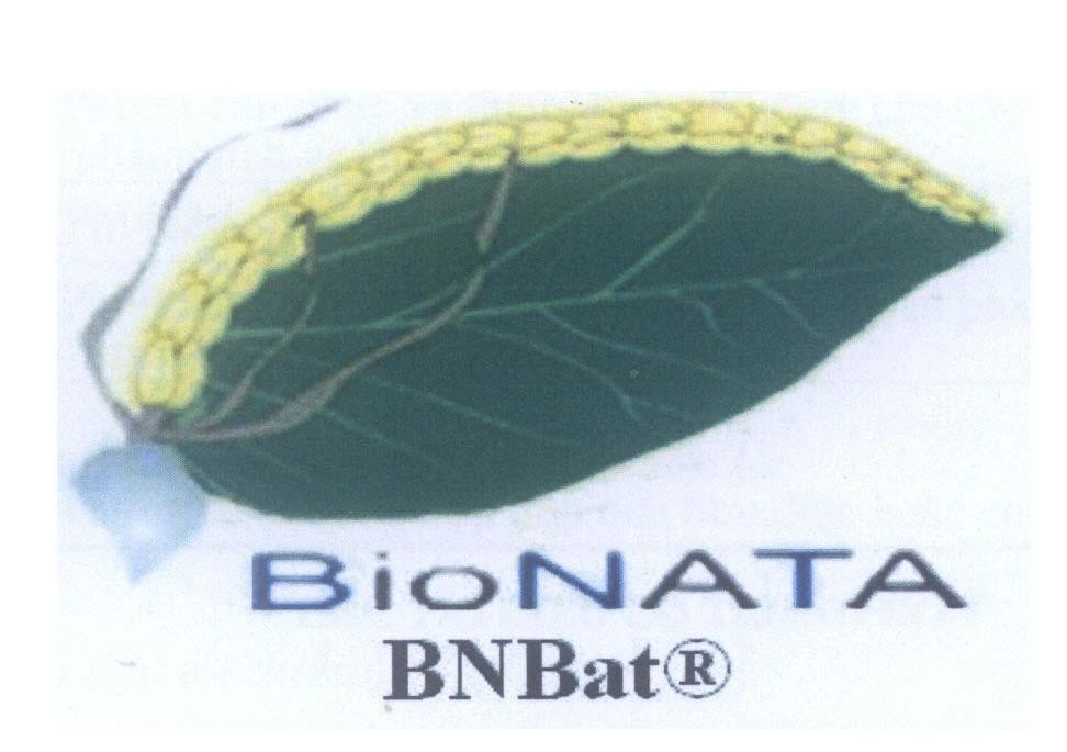 Mẫu nhãn hiệu BioNATA BNBat