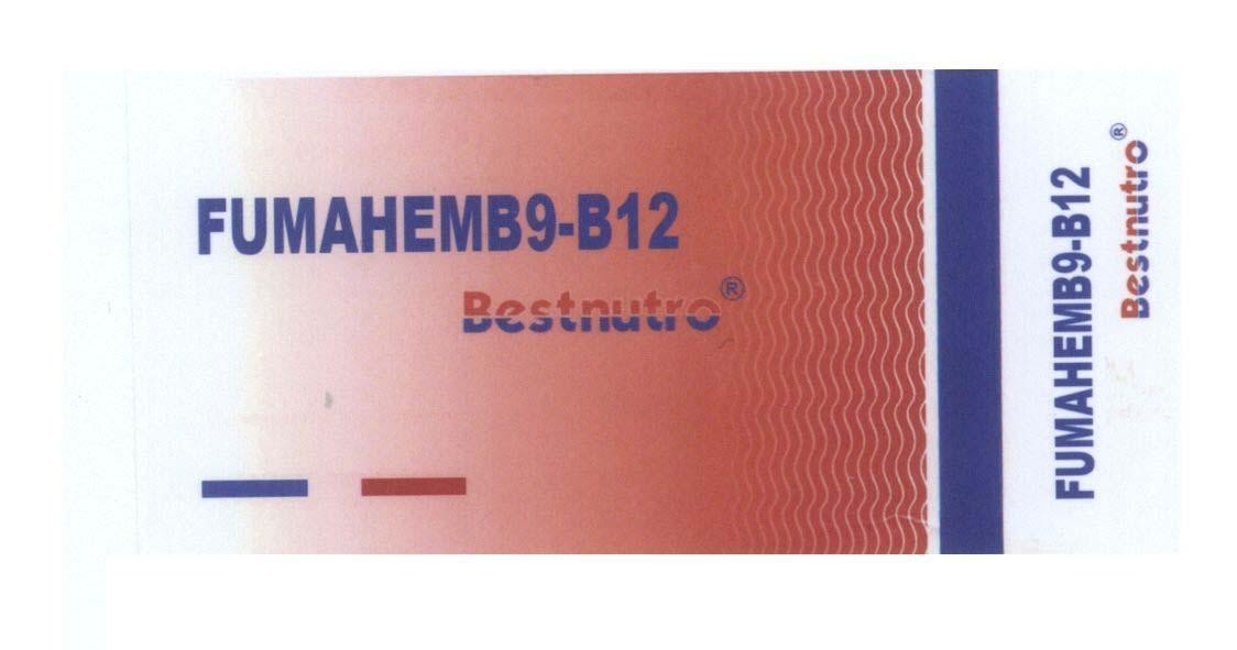 Mẫu nhãn hiệu FUMAHEMB9-B12 Bestnutro