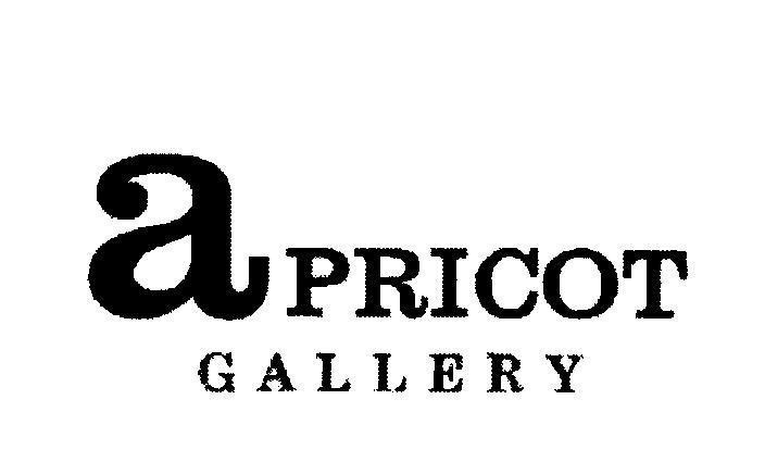 Mẫu nhãn hiệu aPRICOT GALLERY