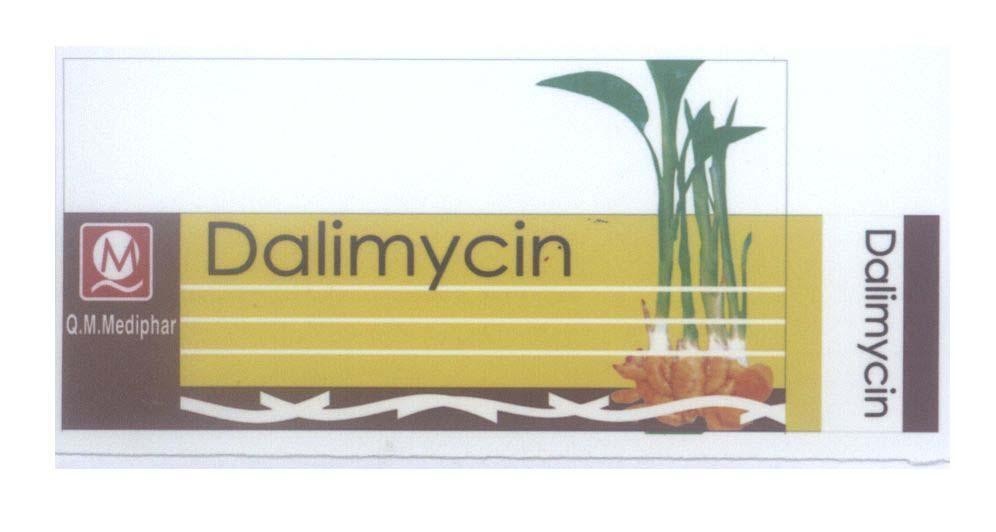 Mẫu nhãn hiệu Dalimycin Q.M.Mediphar