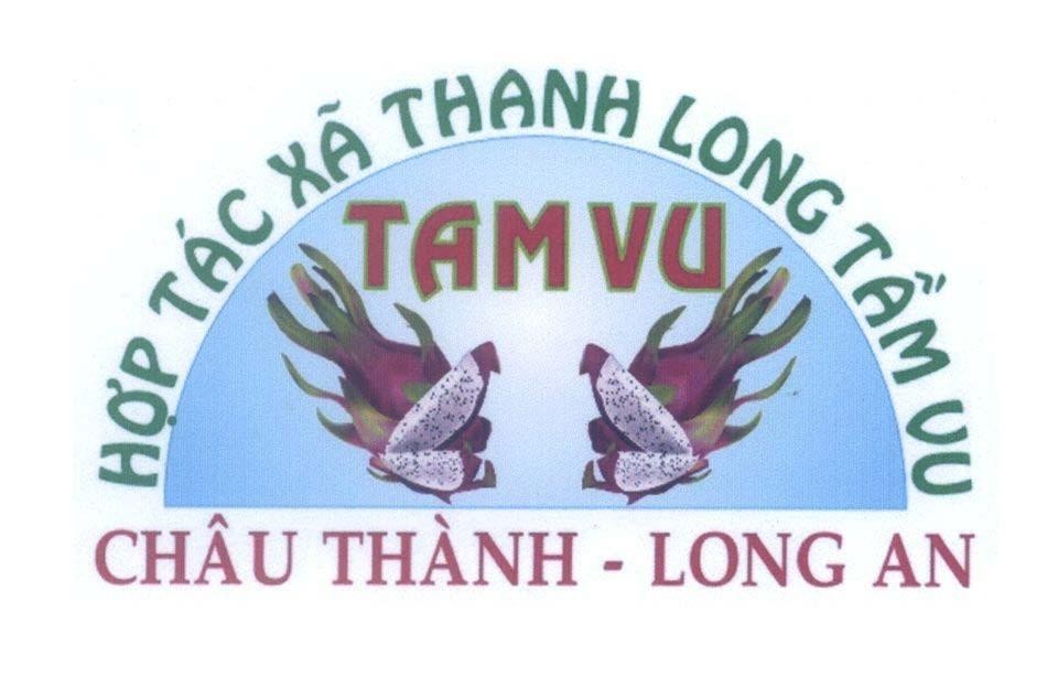 Mẫu nhãn hiệu Hợp Tác Xã Thanh Long Tầm Vu TAM VU Châu Thành - Long An