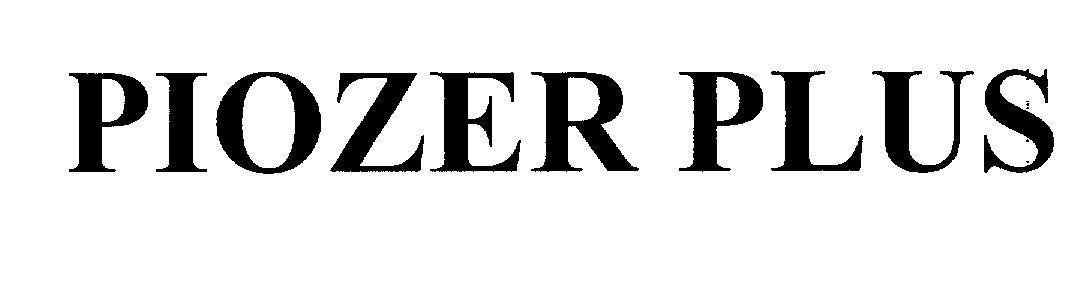 Mẫu nhãn hiệu PIOZER PLUS