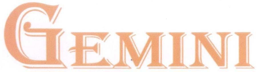Mẫu nhãn hiệu GEMINI