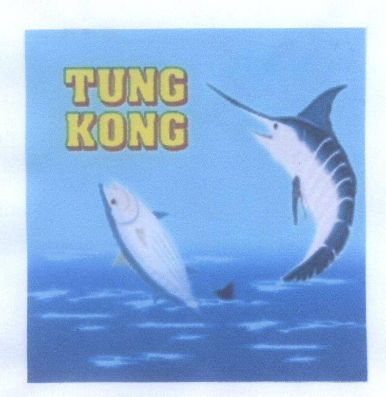 Mẫu nhãn hiệu TUNG KONG