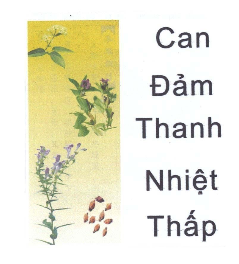 Mẫu nhãn hiệu Can Đảm Thanh Nhiệt Thấp