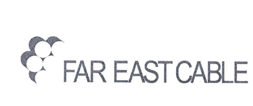 Mẫu nhãn hiệu FAR EAST CABLE