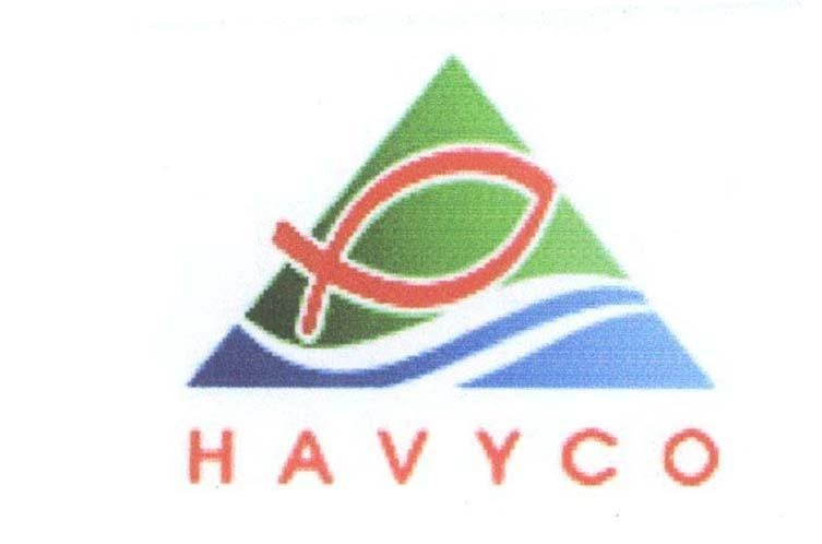 Mẫu nhãn hiệu HAVYCO