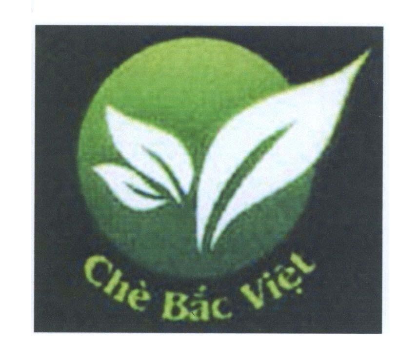 Mẫu nhãn hiệu Chè Bắc Việt