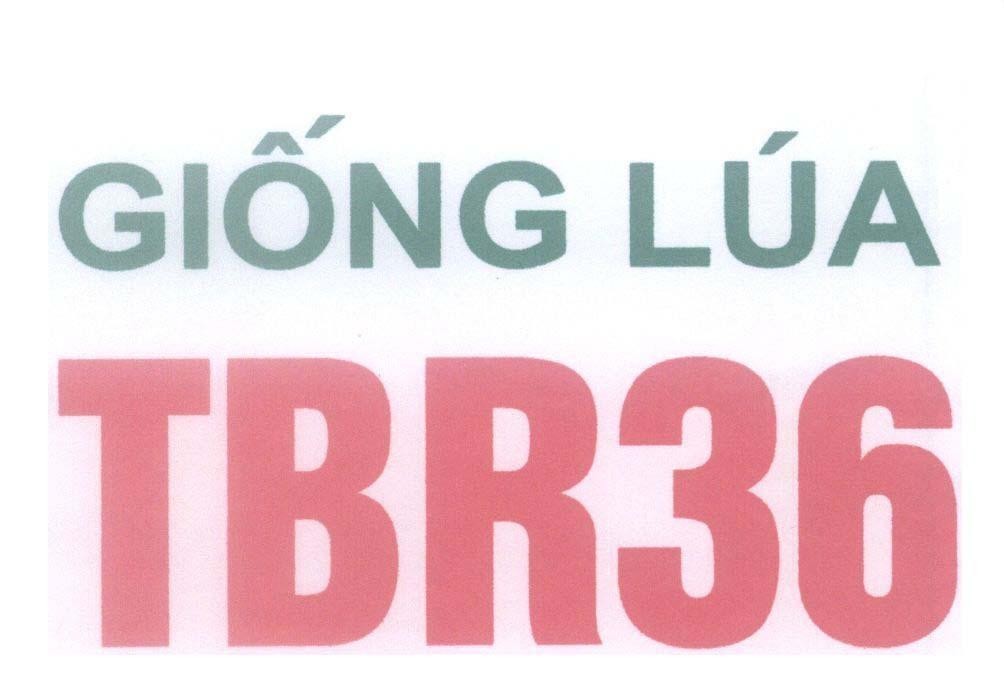 Mẫu nhãn hiệu Giống Lúa TBR36