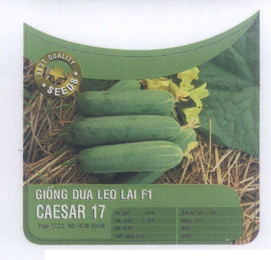 Mẫu nhãn hiệu CAESAR 17 Giống Dưa Leo Lai F1 SEEDS BEST QUALITY