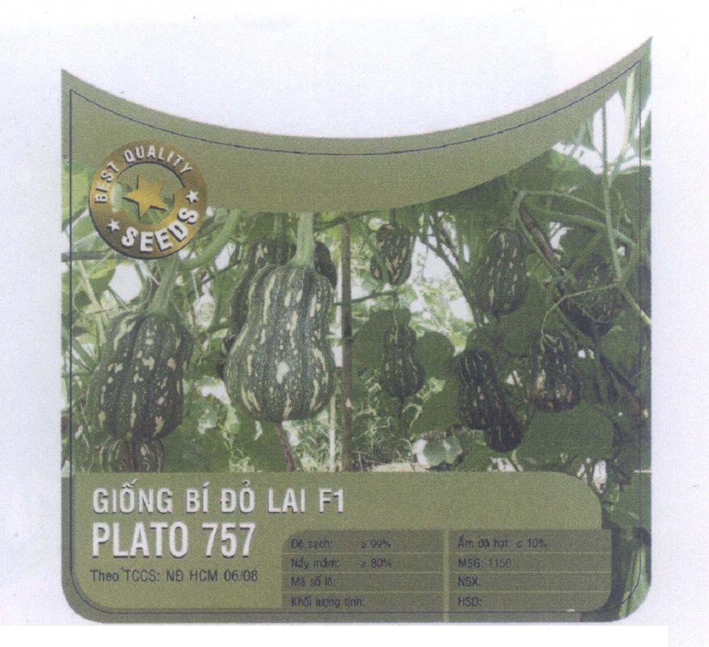 Mẫu nhãn hiệu PLATO 757 Giống Bí Đỏ Lai F1 BEST QUALITY SEEDS
